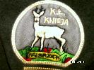 Logo K.. Knieja w Wabrzychu