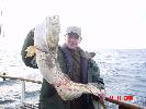polujemy także na grube ryby, z kolegą Rafciem trzasnęliśmy pare dziesiątek na Bornholmie