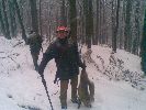 pierwszy lis w tym roku 2010 (Tomasz Kucia)kolo lowieckie hubertus brzesko