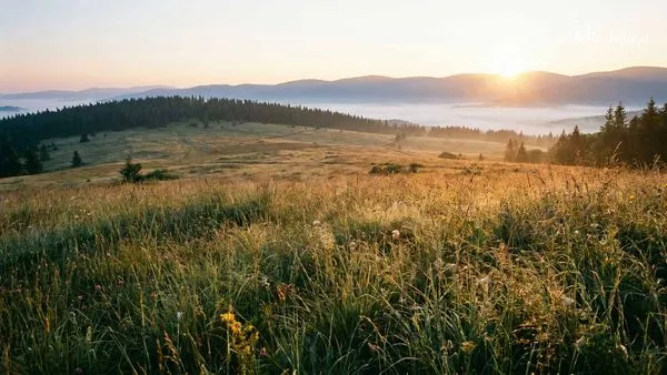 Górska polana w Beskidach o świcie